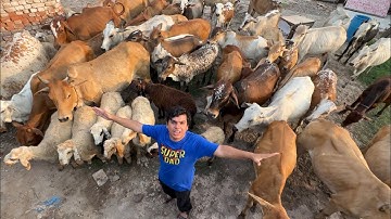 Zoo Mein 200+ Animals Agea 😱 OMG 