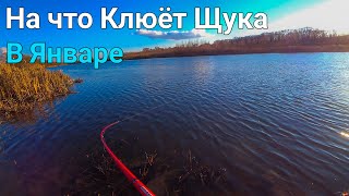 Зимняя РЫБАЛКА на ЩУКУ! МНОГО ПОКЛЁВОК НА СПИННИНГ В ЯНВАРЕ. ДЖИГ И ДЖИГ РИГ.
