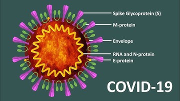 Graphical Abstract Design For Manuscript