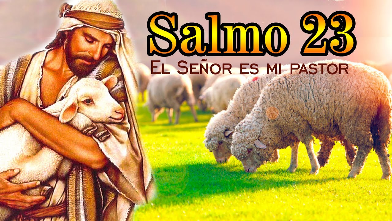 Vídeo: 