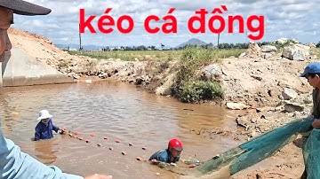 Kéo Cá Đồng Sau Mùa Lúa Chín Nước Cạn Zô Kèo Luôn