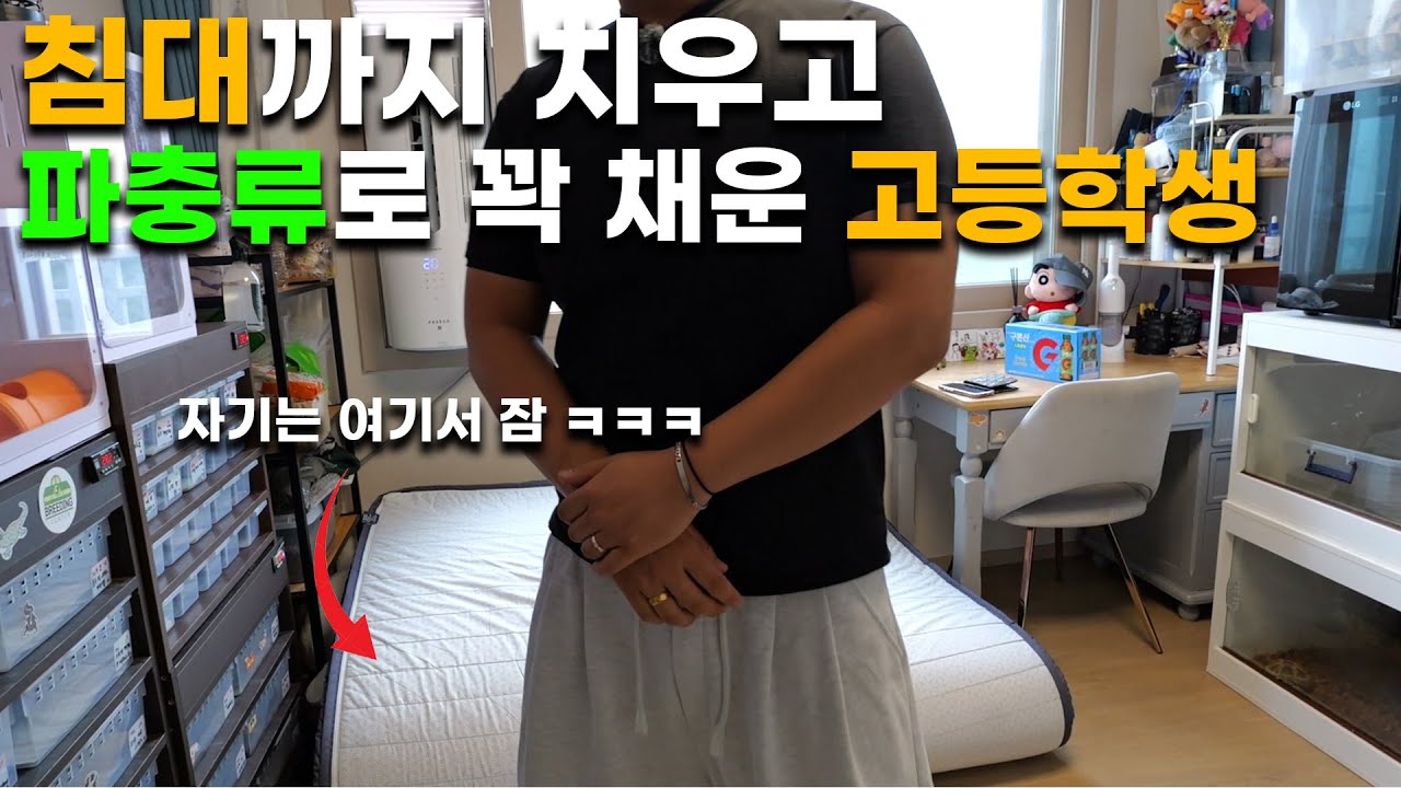 파충류에 미쳐버린 한 고등학생 집을 방문 했습니다. 5년전 보다 4~5배는 많아졌네요 ㄷㄷ
