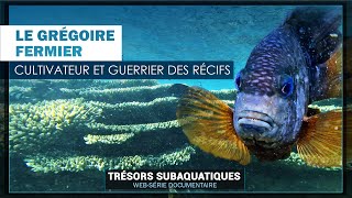 Cultivateur et Guerrier : Le Grégoire Fermier // web-série documentaire // trésors  subaquatiques