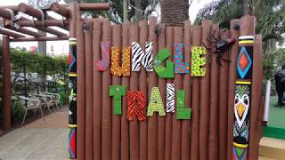 3 ball jungle hole 15 trick shot at Putt Putt Mermaid Beach, Gold Coast screenshot 5