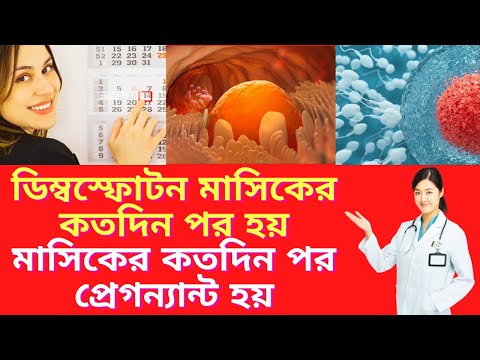 ডিম্বস্ফোটন মাসিকের কতদিন পর হয়?  মাসিকের কতদিন পর প্রেগন্যান্ট হয়? Ovulation day for pregnancy