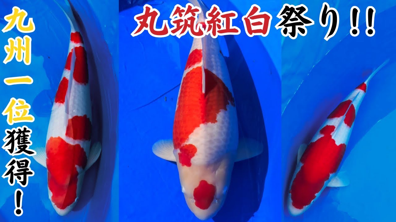 【2024九州大会】各部総合以上の大賞を９つ獲得！マルっとご紹介します