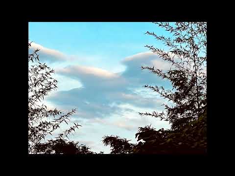 上を向いて歩こう (オカリナ演奏)