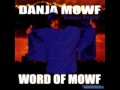 Danja Mowf - Question