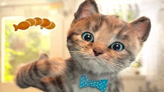 Little Kitten & Friends - Learn with the cutest cat! - Pet Care Games For Children By Fox and Sheep screenshot 3