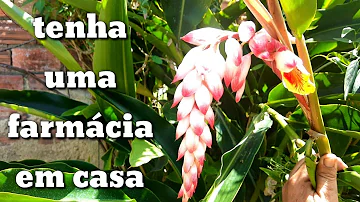 Como tomar um banho de descarrego forte?