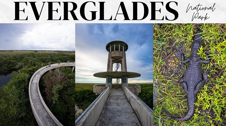Everglades National Park Travel Guide: 1 Day Exploring the Park's Trails, Tours & Wildlife