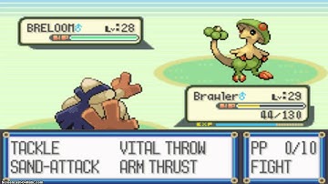 Pokemon Ruby SpeedRun Episode 11 The Weather of Magma!