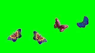 Green screen kupu kupu