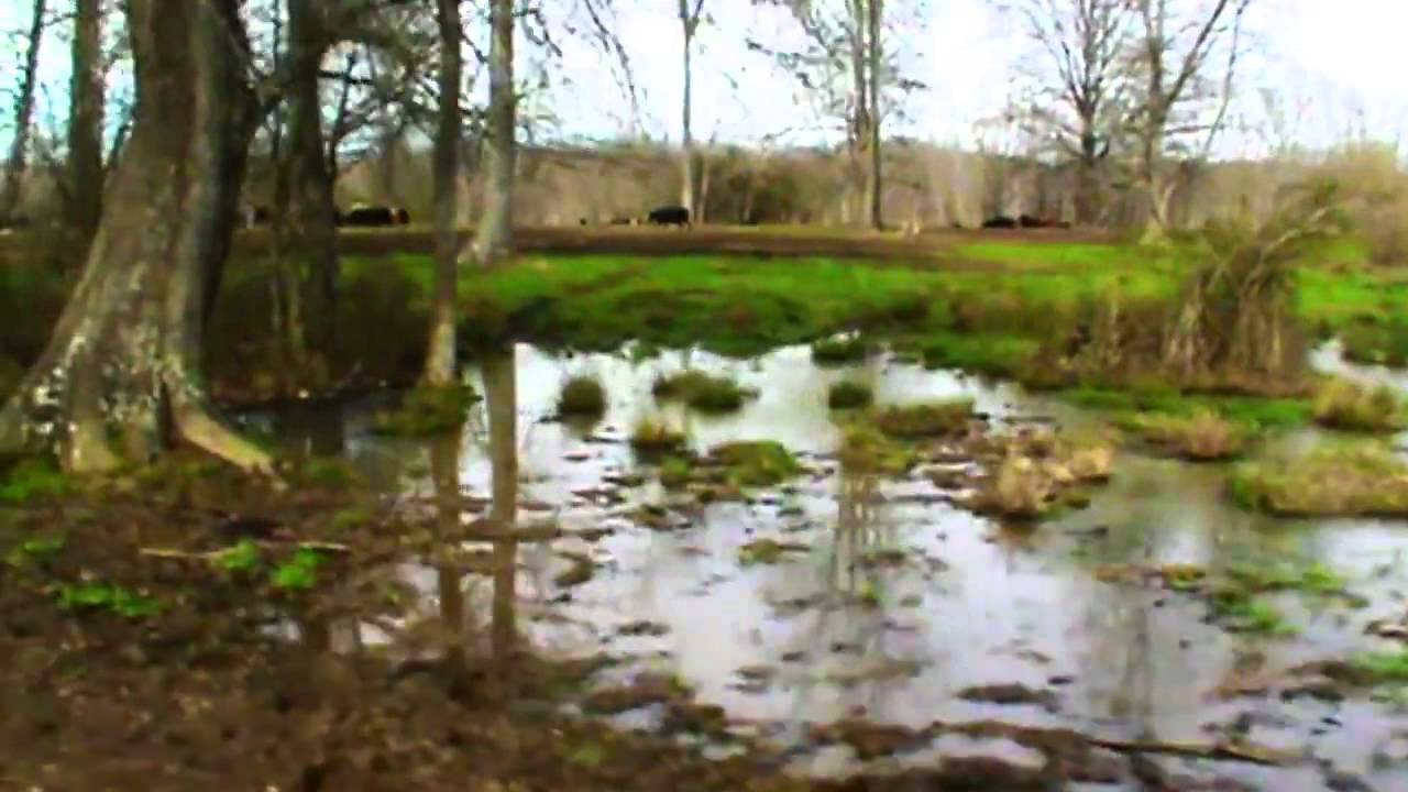 ASABE Ethics Video Competition Winner: Runoff