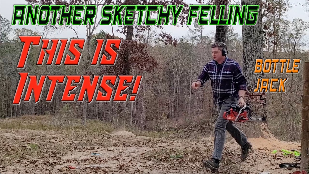 I use a bottle jack felling a Red Oak. It's intense! YouTube