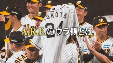 映画『阪神タイガースTHE MOVIE2023ー栄光のAREー』60秒本予告【12月15日公開！】