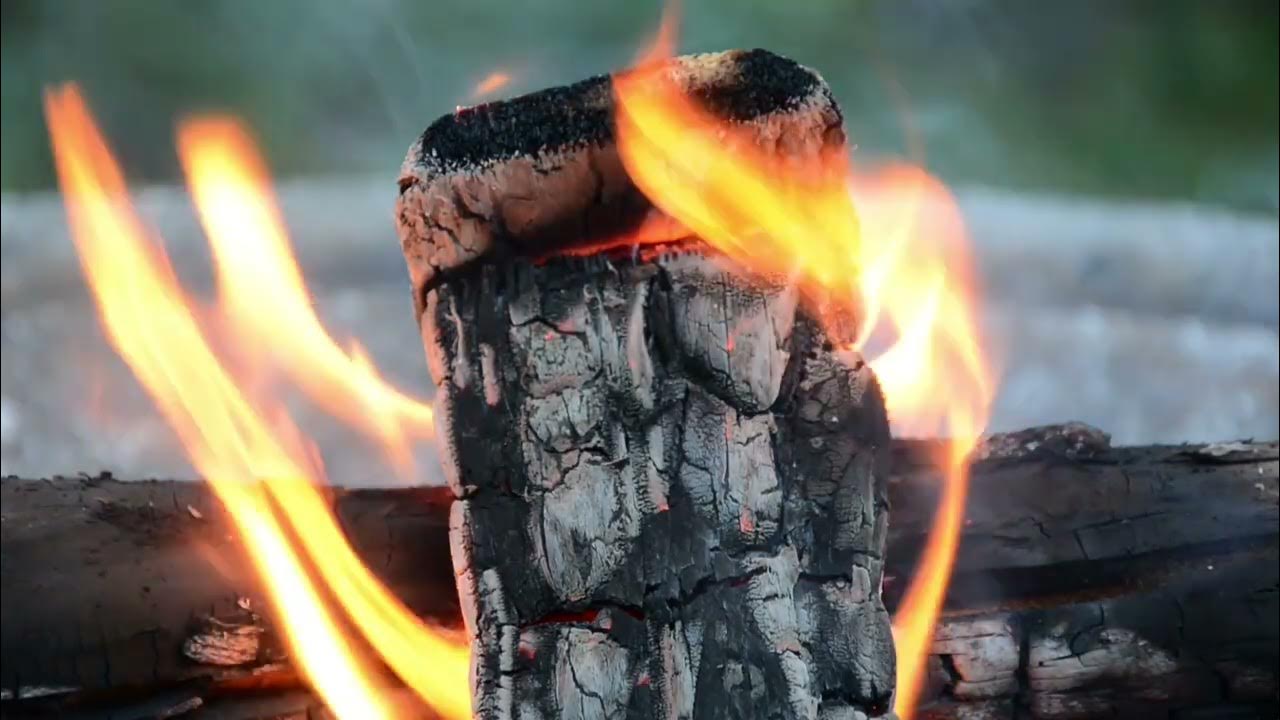 сгоревшие бревна. сгоревшие бревна. сгоревшее полено. сгоревшее бревно. обугленное полено.