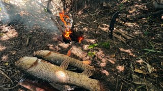 Construyendo un Refugio solitario, Pesca y Cocina de Tarariras