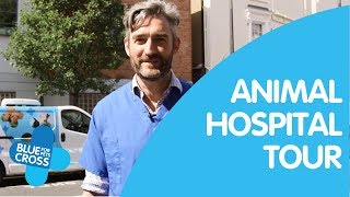 Virtual Tour of London Animal Hospital | Blue Cross