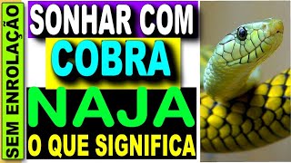 Significado de sonhar com cobra naja. Veja se há o que temer