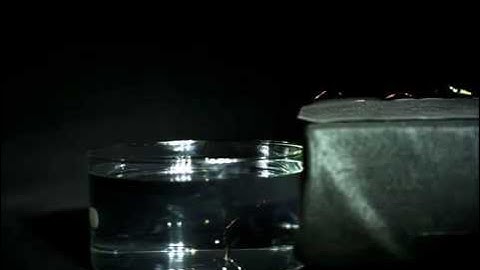 Harvard RoboBee Diving, Hovering, Swimming