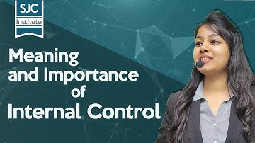 Meaning and Importance of Internal Control in Audit | Basics of Auditing | CA Samiksha Sethia