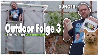 Update from the garden 🌿 First differences & one plant is destroyed | GrowCologne Outdoor #3