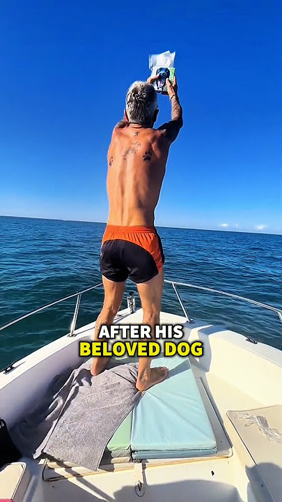 The Last Day They Met #shorts