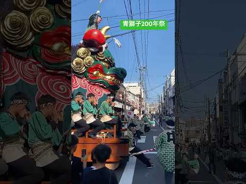 青獅子 200年祭　#唐津くんち　二番曳山　中町　令和6年（2024）9月29日　#shorts