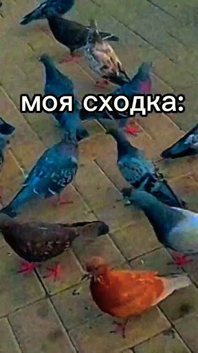 чья лучше? 😂 - YouTube