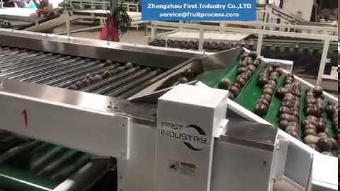 passion fruit sorting grading machine, granadilla grading machine