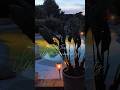 Garden Therapy @ Villetta Serendipity #elba #villarental #pool #summer #italy #mare