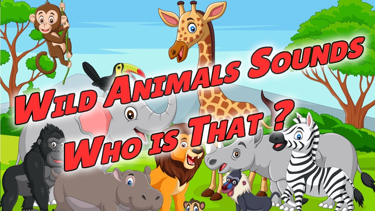 Wild Animals Names | Video and Sounds | tiger, deer, zebra, giraffe ...