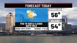 New Year's Day Forecast