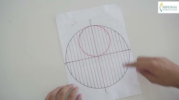Grade IX l Student Activities l Imperial World School l IWS Educational video