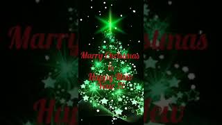 Marry Christmas & Happy New Year 2021