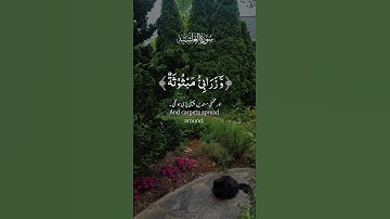 قراءة رائعة لايات من سورة الغاشية #المصحف #اكسبلور #الرحمن #يارب