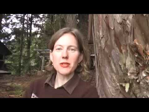 Network Marketers - Is YOUR Phone Ringing Off The Hook