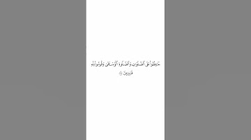 صلاة التراويح ليلة ٣ رمضان ١٤٤٥هـ سورة البقرة الآية ٢٣٨ الشيخ عبدالله القرافي