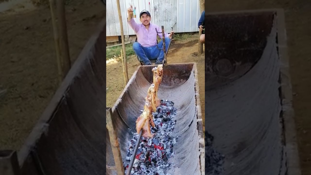 Cosecha de Avena - Los Flores de Rucalhue 2022