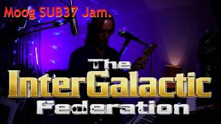 Moog SUB37 Jam.