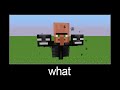 Minecraft wait what meme part 47 (Villager Wither)