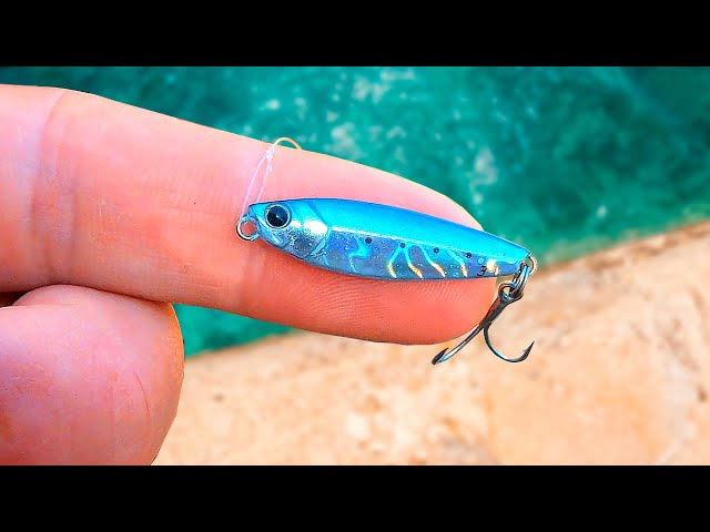 Métal Jig Jackson Gallop Anchovy Micro 10g – WRD (0063) – Pour Bar De Mer