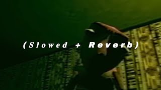 Bad Parenting 𝐒𝐥𝐨𝐰𝐞𝐝 𝐑𝐞𝐯𝐞𝐫𝐛