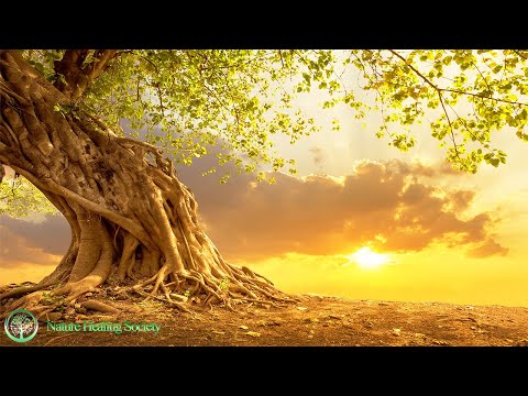 Good Morning Music 528 Hz Boost Positive Energy While Waking Up Good Morning Music 528 Hz Boost Positive Energy While Waking Up