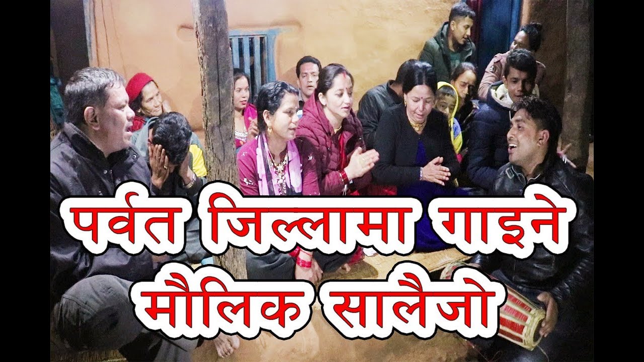 New Salaijo Song  मन छुने सालेजो भाका । ।   By Bhim Bdr.Poudel