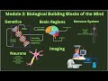 Module 2 Biological Building Blocks of the Mind