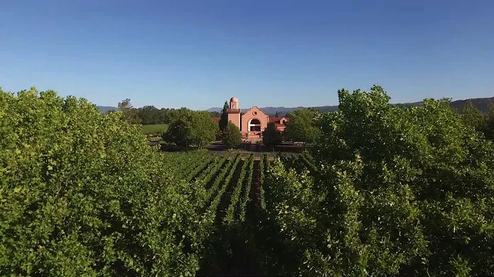 Welcome to Groth Vineyards & Winery