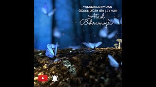 Yaşadıklarımdan Öğrendiğim Bir Şey Var - Ataol Behramoğlu Şiir Dinletisi