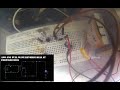 FORWARD BIAS AND REVERSE BIAS SEQUENCE